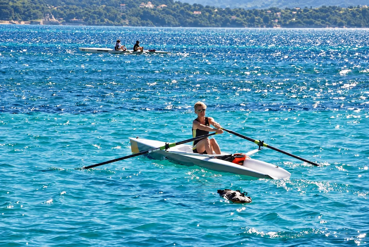 Aviron et sports nautiques